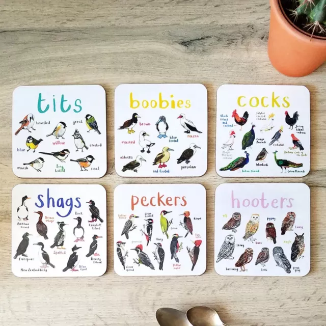 6Pcs Bird Pun Coasters Funny Coasters Set Table Protect Cup Mugs Mat for Drink