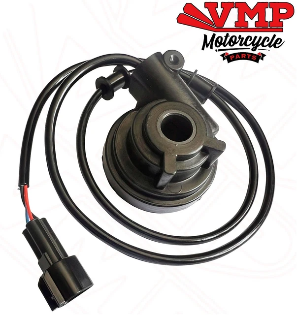 L/H RÜCKWAND HAUPTAUFKLEBER Für Sinnis Apache 125 QM125GY-2B 08-17 EUR