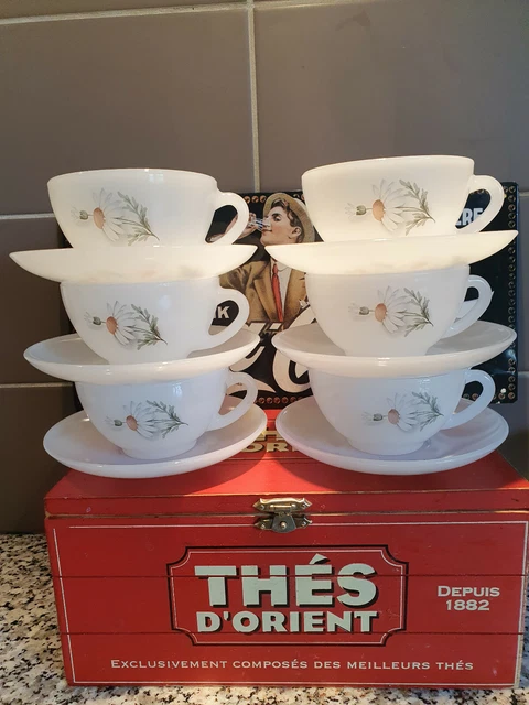 6 Tasses A Cafe  Arcopal Vintage Decor Marguerite " French Cups And Saucers