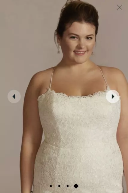 Plus size David’s bridal wedding dress brand new with tags never been worn 