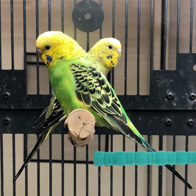 Vogelspielzeug Aus Holz Vogelbarsch Steht Für Papageien Gestreifter Schleifstab