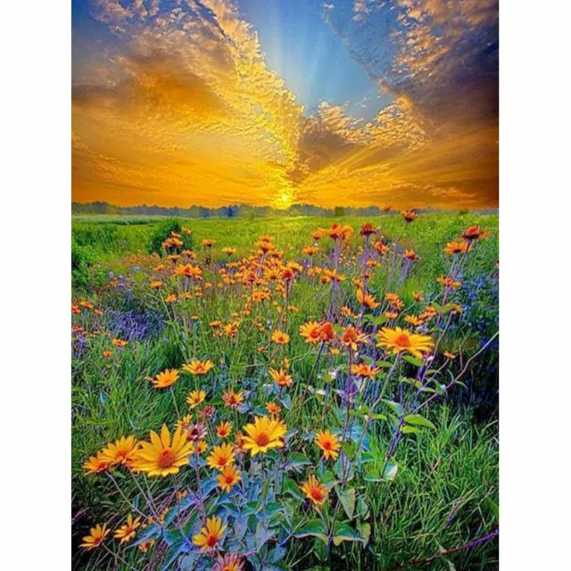 PAINT BY NUMBERS Adults kids Sunset Flower Field DIY Painting Kit 40x50CM  Canvas $13.30 - PicClick