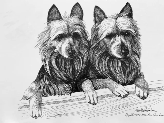 Australian Terrier Heady Study Print 17/500 By Van Loan 11x17”