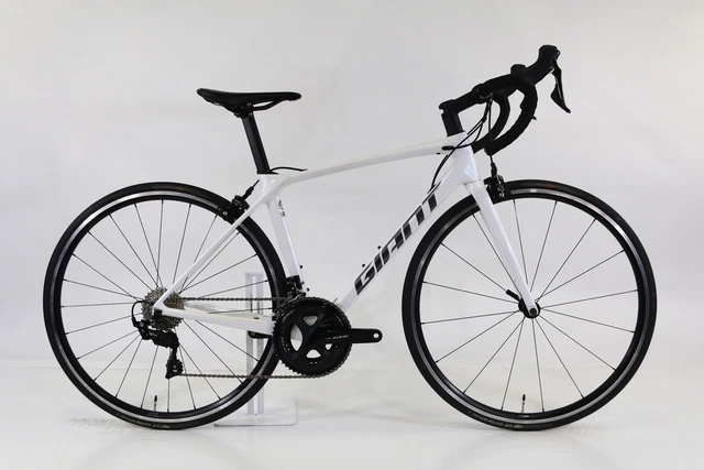 giant tcr 2021