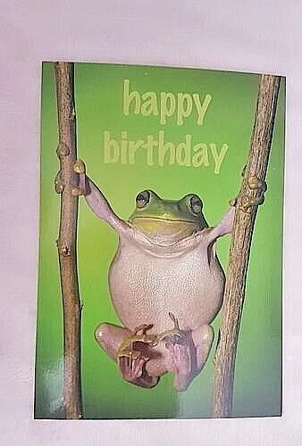GEBURTSTAGSKARTE GLÜCKWUNSCHKARTE LUSTIGER Frosch "happy birthday" EUR