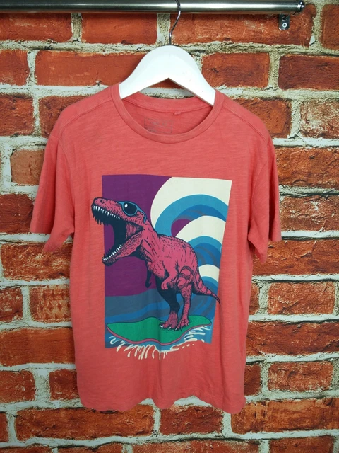 T-Shirt Top Bundle Ragazzi Età 5-6 Anni Next M&S John Lewis Bambini 116 Cm 2