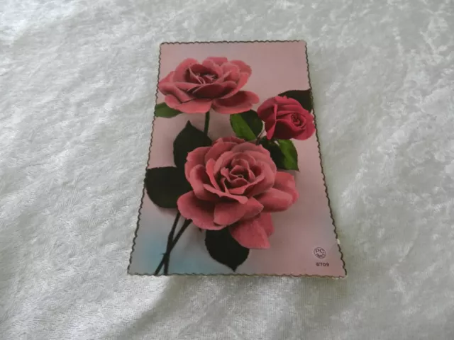 CPSM carte postale photo Fleurs Rose / P.C Paris 1953