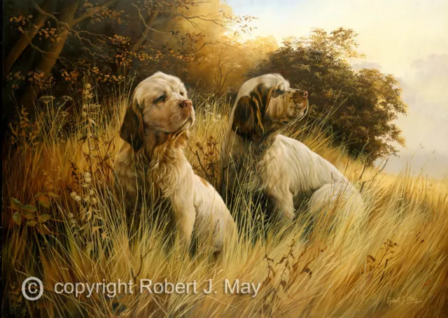 Clumber Spaniel limited edition print by Robert J. May