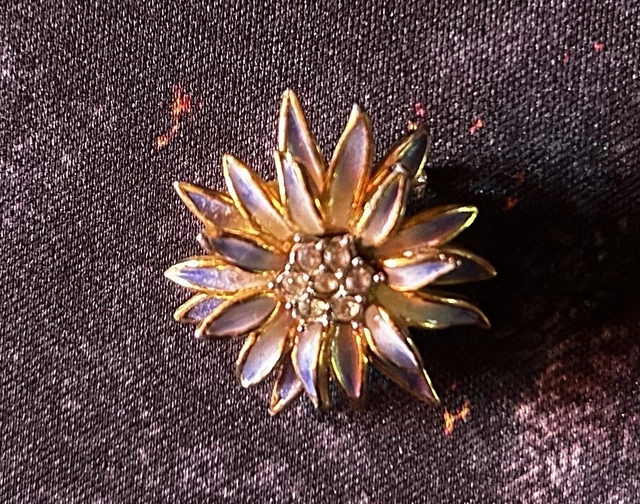 Ancienne Broche émaillée Contrôleur - Métal Doré - Vintage - Pièce Unique