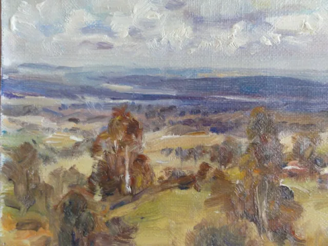 Original Oil On Canvas Dermont Hellier 1993 Unframed Australian Country Scene
