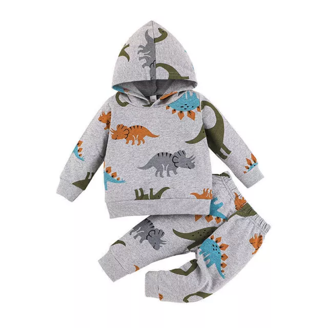 Baby Infant Boys Toddler Dinosaur Outfit Hooded Tops Pants Tracksuit Clothes Set 2