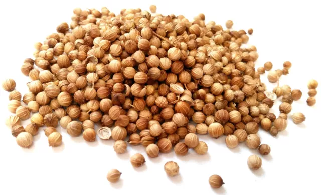 Coriander Seed Whole A Grade Premium Quality Free UK P & P