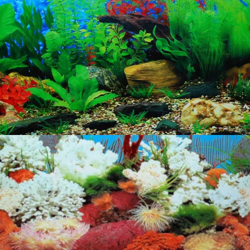 Aquarium Plastic Background Decor Double Sided Coral Reef/Freshwater 60cm Height