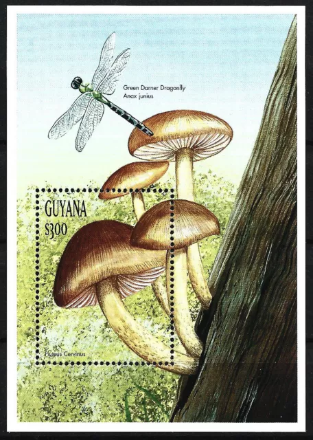 Guyana - mushrooms block 605 mint 1999 Mi. 6556