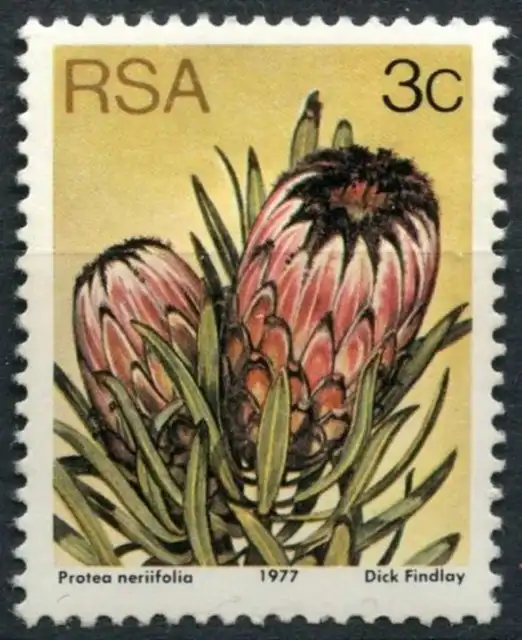 South Africa 1977-82 SG#416a 3c Proteas, Plants Definitive MNH P14x13.5 #E9001