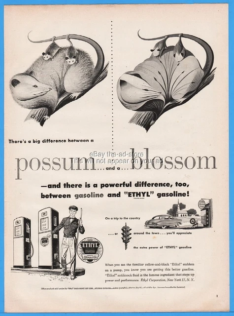 1951 Ethyl Gasoline Service Station Difference Between a Possum and a Blossom Ad