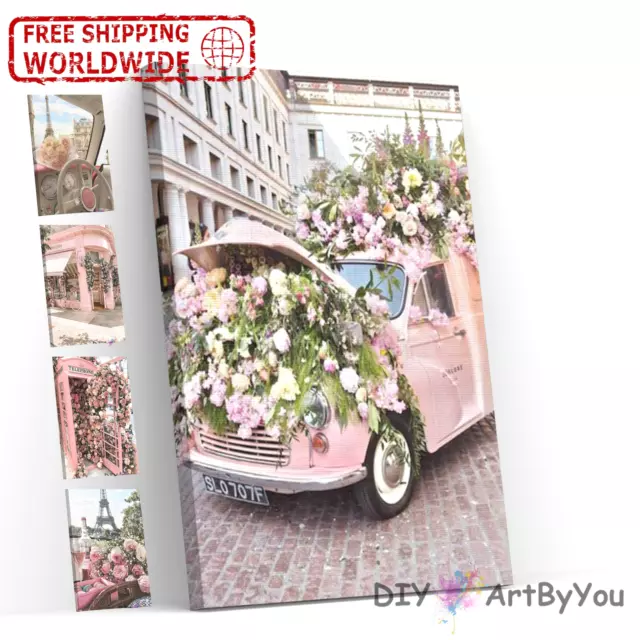 Paint By Numbers Kit DIY Oil Painting Framed Canvas Art Flower Paris Car Pink