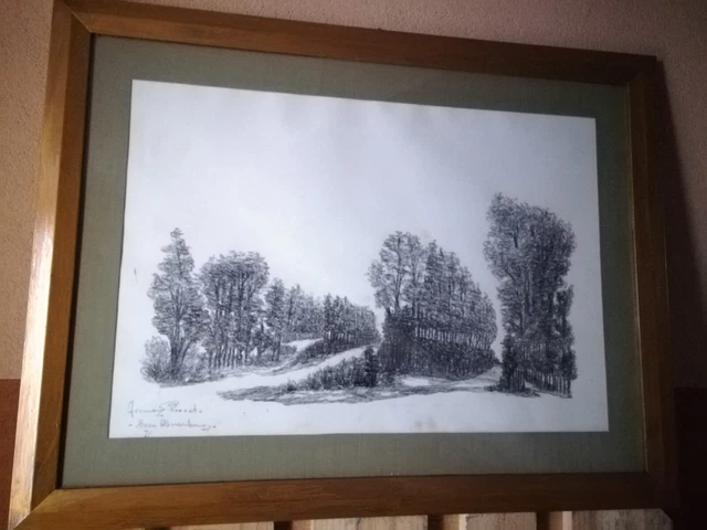 Ferruccio Pozzato disegno carboncino matita bosco Alessandrino Alessandria bello