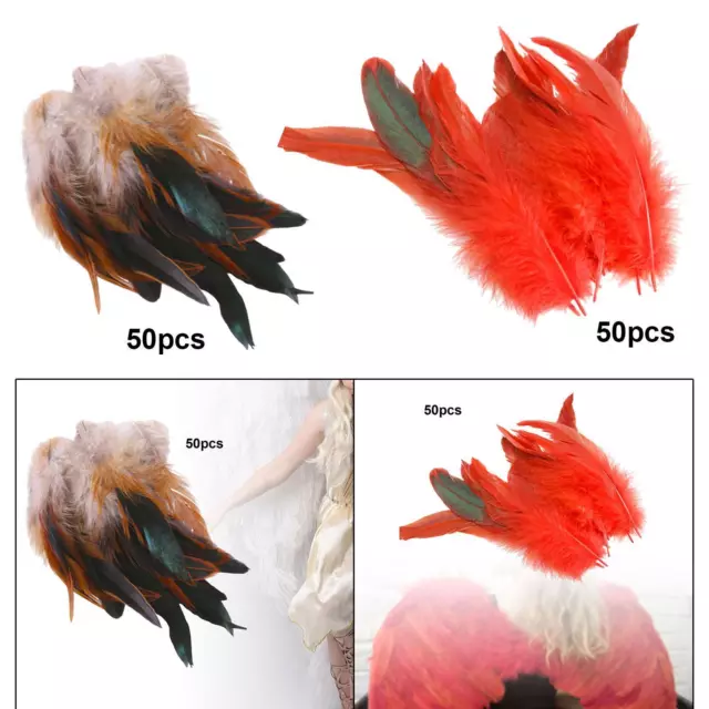 50Pcs Feathers for Crafts Colors Feathers for Jewelry Making Hats Cosplay