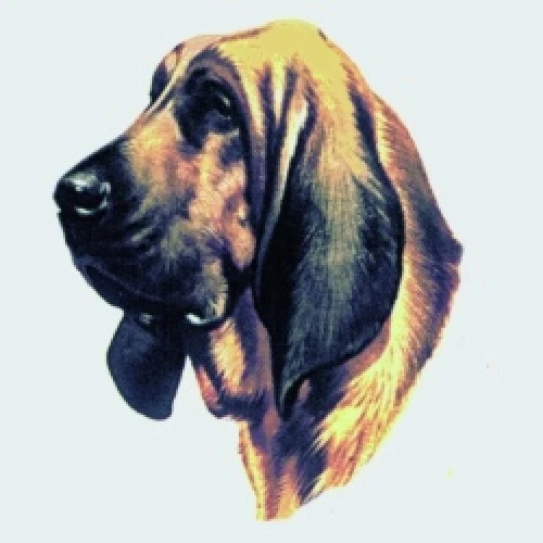 Embroidered Fleece Jacket - Bloodhound BT2634  Sizes S - XXL