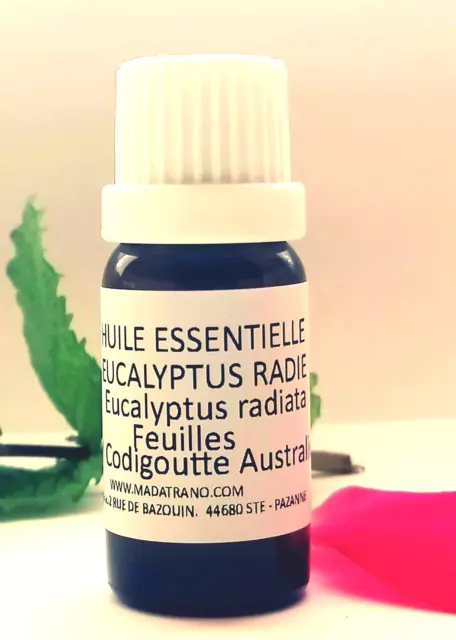 Huile Essentielle Eucalyptus Radie 10ml pure naturelle