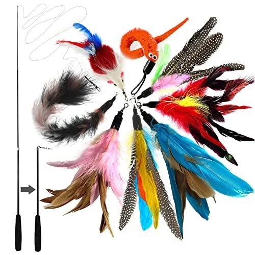 onebarleycorn Jouet Chat Plume, Jouets pour Chats à Plumes, 1 Rétractable Canne
