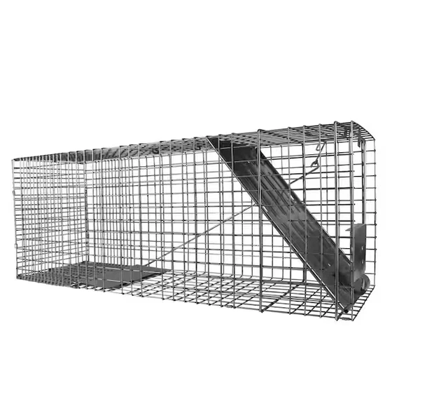 Havahart 1079 Large 1-Door Humane Animal Trap for Raccoons, Cats, Groundhogs,...