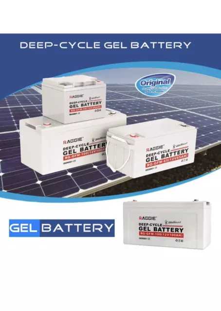 Batteria 100Ah12V Gel Fotovoltaico Pannelli Energia Solare Nautica Camper Reggie