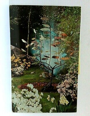 Sterling Forest Gardens New York NY Raintree Fountain Postcard