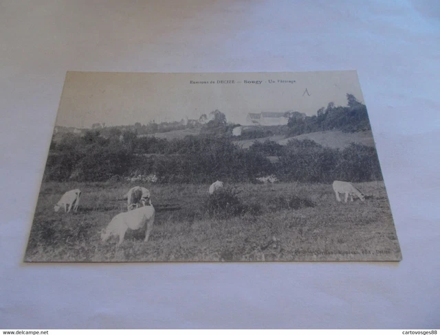 Cpa   58 Sougy  Environs De Decize  Nievre  Un Paturage  Vaches Dans Le Pre