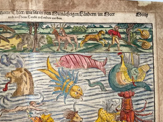 Sea Monster Chart 1598 Sebastian Munster Large Unusual Antique Map 16Th Century 3