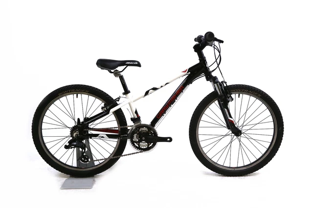 GARY FISHER PRECALIBER 24