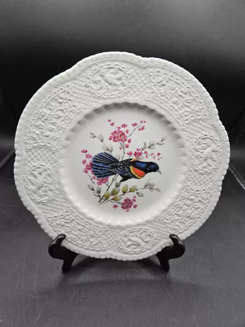 Royal Couldon Redwinged Blackbird Plate Made England Design By Henry A Pausch