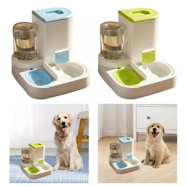 Mangeoire automatique pour chien et chat Fournitures pour animaux de