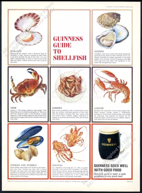 1965 Guinness Stout beer Guide to Shellfish color art big UK vintage print ad