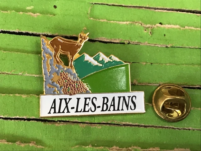 RARE PINS RAFFTING BRIANÇON SIGNÉ MARTINEAU SAUMUR