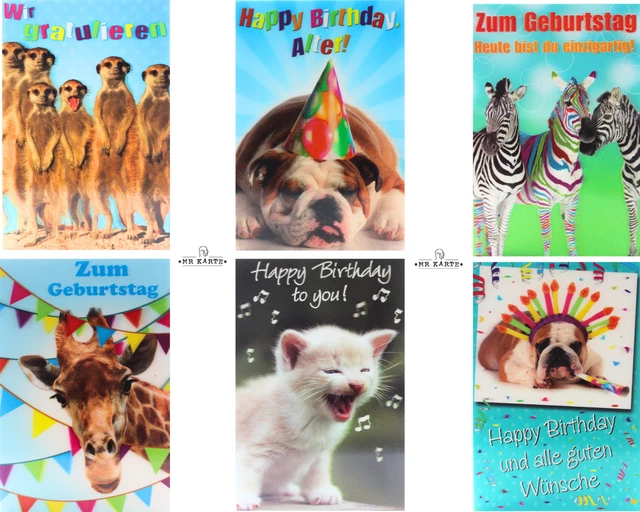 geburtstag bilder tiere lustig geburtstag bilder tiere lustig