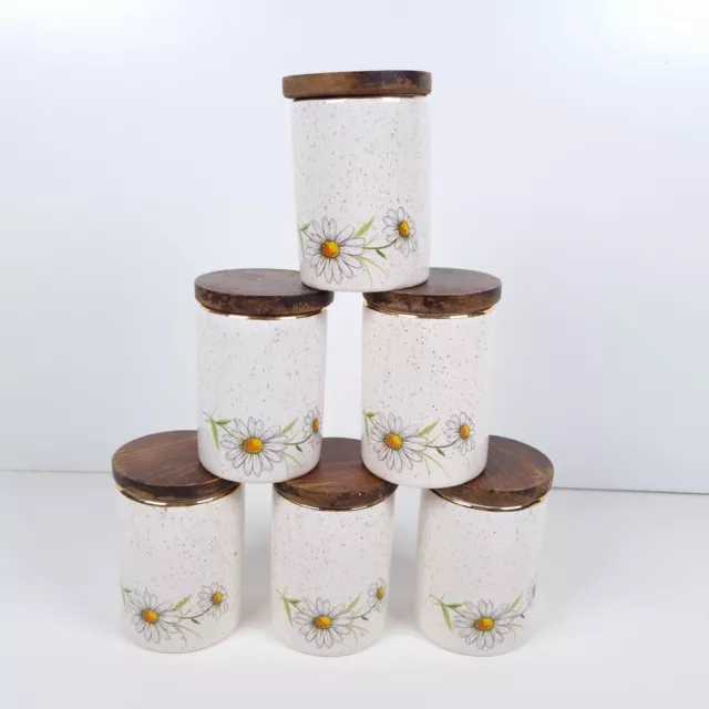 Kernewek Pottery Spice Jars 8cm Cornwall Vintage Daisy Floral Pattern Set of 6