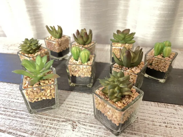 Mini Faux Succulents Glass Pots Artificial Plants EUC Wedding Home Shower Decor