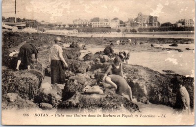 animatio Pêche des Huîtres en Maline d’Equinoxe Braun n° 2575 CPA 17 ROYAN 