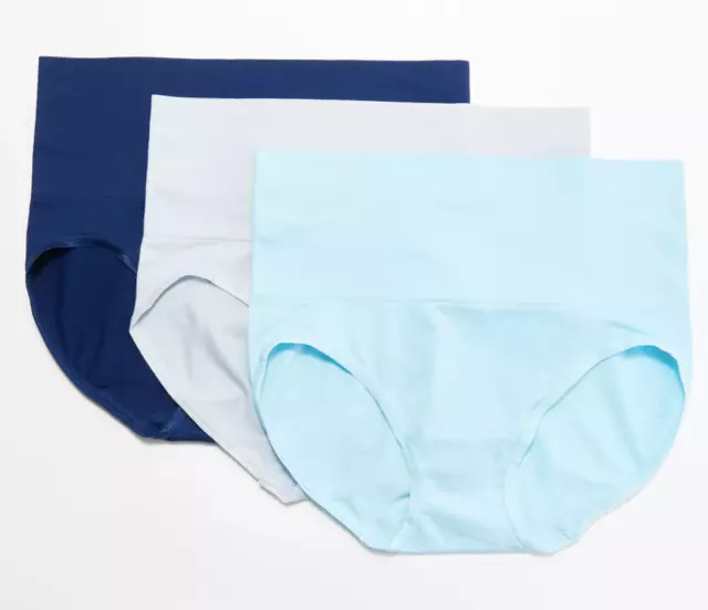 461 Breezies Seamless Wide Band Brief Panty Set of 3 BLUES sz 1X