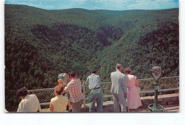 Lookout Pennsylvania Grand Canyon Leonard Harrison State Park PA Postcard 1967