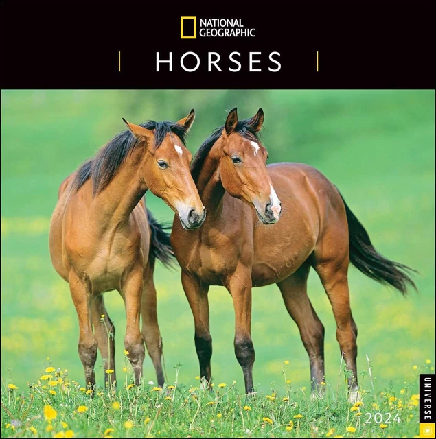 HORSES NATIONAL GEOGRAPHIC 2024 Wall Calendar Brand New 343437 15