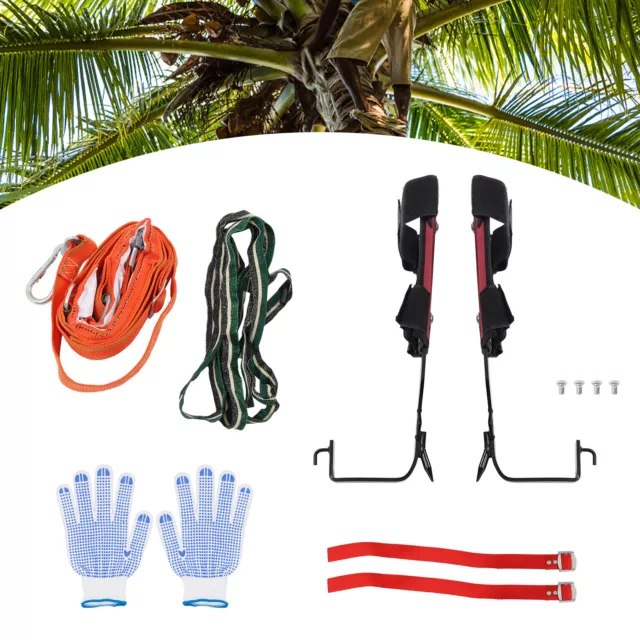 Tree Climbing Spikes Set, Upgrade Cowhide Tree Climbing Gear with  Adjustable Climbing Belt Rope and Hand Ascender, Climbing Tools Kit for  Climbing