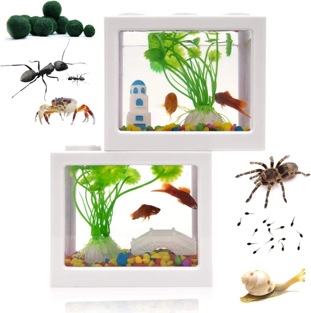 Small Betta Fish Tank,Fish Bow Aquarium with Gravel Plants Rocks Feeder,Small Fi