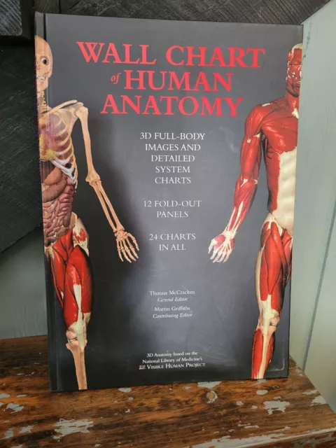 Wall Chart of Human Anatomy 3D Full Body Images 24 Charts 12 Fold Out Panels 2