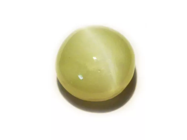 Chrysoberyl Cats Eye 1.46 Cts 21240 - Beautiful Ray - Natural Sri Lanka Gem