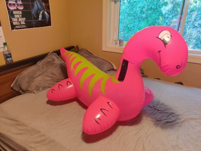 dinosaur pool raft