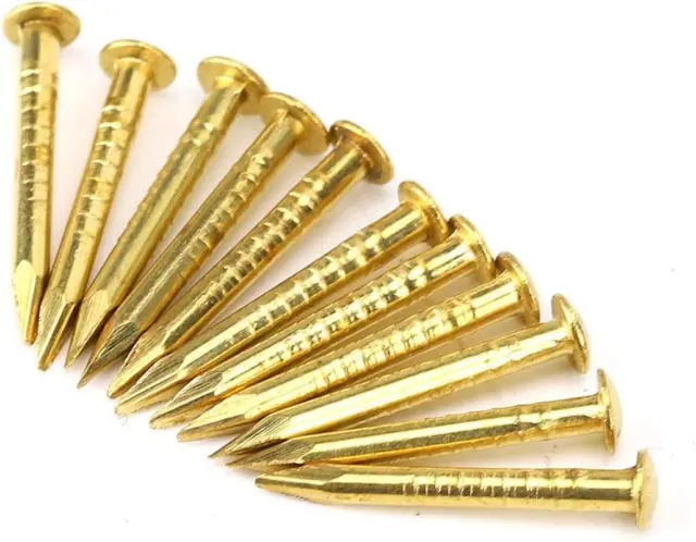 100Pcs Brass Escutcheon Tacks, round Head Brass Nail Furniture Hinge Hardware Ac