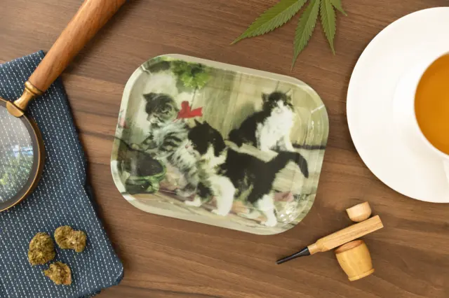 Kittens Meeting Cat Scatter Tray Serving Trays Dish Melamine Dishwasher Safe